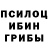 Галлюциногенные грибы Psilocybine cubensis Valermiss _