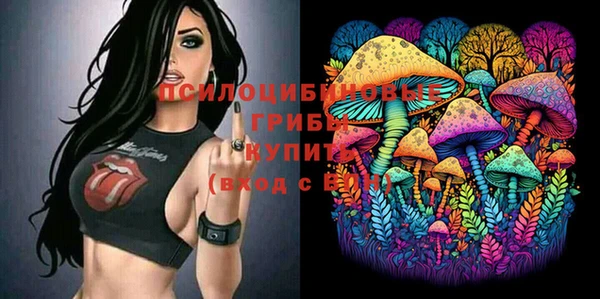 стаф Баксан