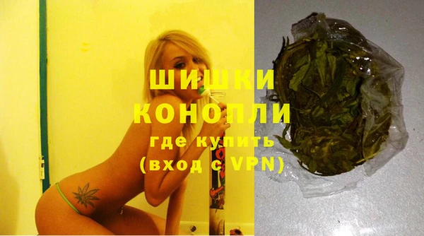 стаф Балахна